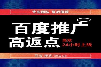 百度竞价赚钱的实战案例分析