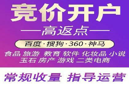 百度新闻源优化：案例解析提升品牌知名度