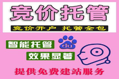 竞价排名案例分析：教育行业